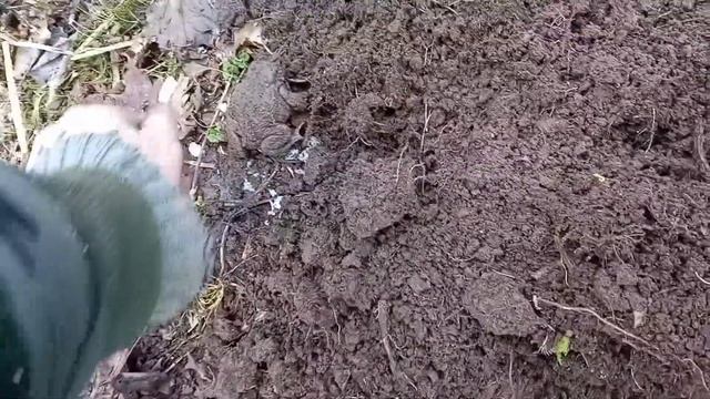 Прогулка по пляжу в гордом одиночестве.4.04.22.с днем Рождения Володю.Возраст Христа! смотреть онлайн