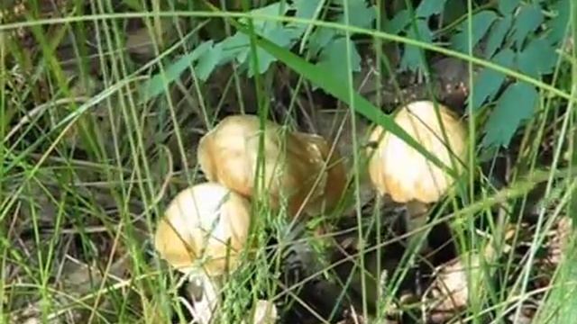 Банное Зеро смотреть онлайн