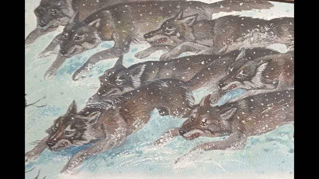 Белый ожерелок смотреть онлайн