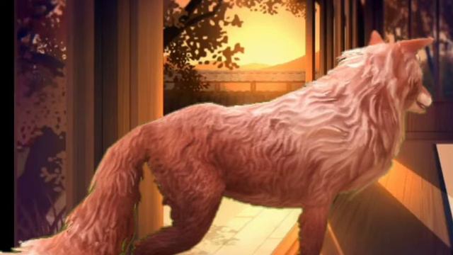 Wildcraft клип Dollhouse на английском