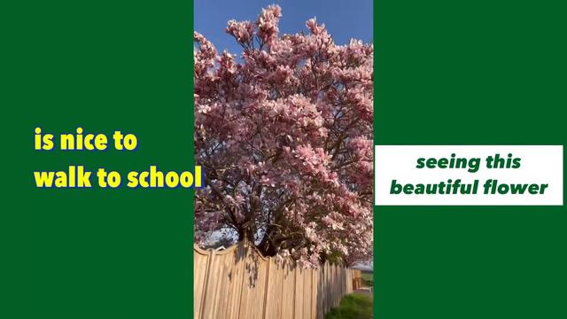 Spring flowers Magnolia Tree | Jo Orchard Vlog 2022 смотреть онлайн