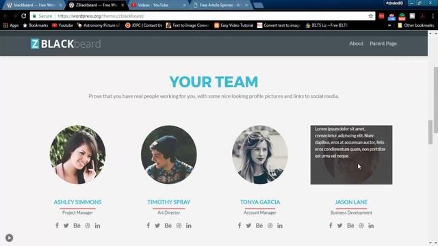 ZBlackBeard Wordpress Theme For Company Websites Features Documentation Download Link смотреть онлайн