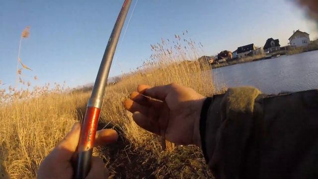 На пол. опарыша клев получше. Рыбалка на фидер. смотреть онлайн