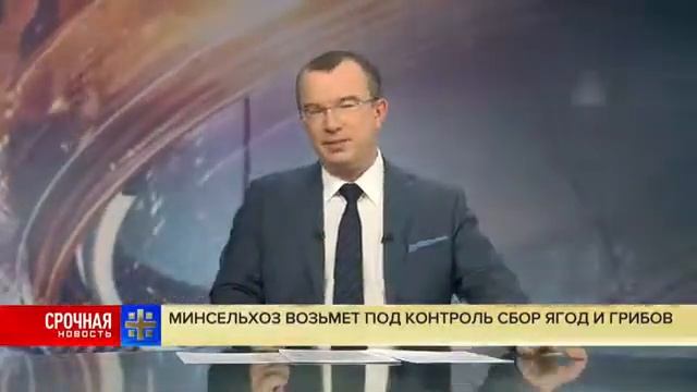 Закон о сборе грибов и ягод (2К18) смотреть онлайн