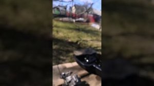 Замена маслонасоса Форд Транзит