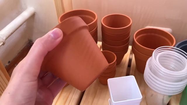 Как выбрать горшки для суккулентов? (мой вариант) смотреть онлайн