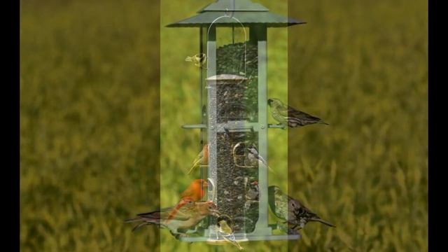 Очень красивые кормушки для птиц своими руками смотреть онлайн