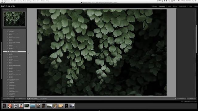 FOTO Rx MM PRESETS LIVE EDIT GREENS смотреть онлайн