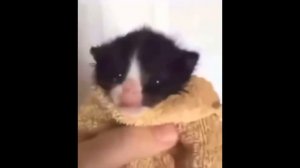 самый страшный скример