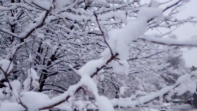 Снег тает Снег засыпал город смотреть онлайн