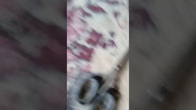 крыса и жизнь кирилла тв.mp4 смотреть онлайн