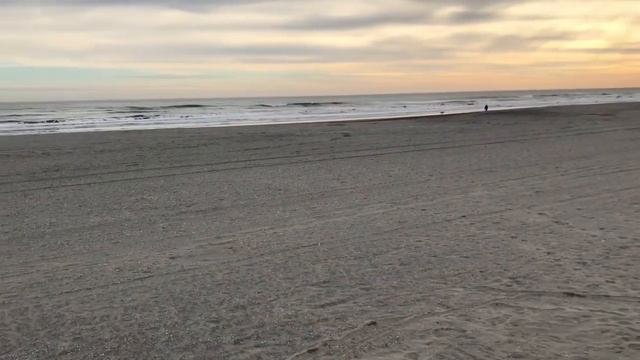 Галина Смит не пустит Наталью Взлётная Полоса в Америку. Приключения Юляшки. Виза К-1 омоет грехи. смотреть онлайн