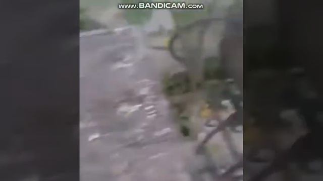 Скорее все на барбекю ??? смотреть онлайн