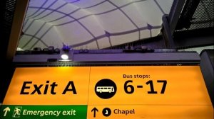 Голуби балкон что делать