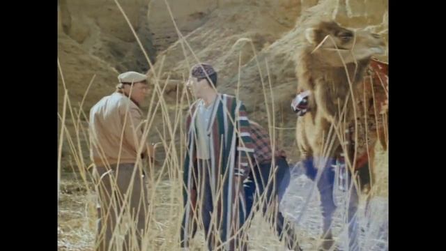 Положи верблюда! Ложись скотина, пасть порву! (плевок верблюда) смотреть онлайн