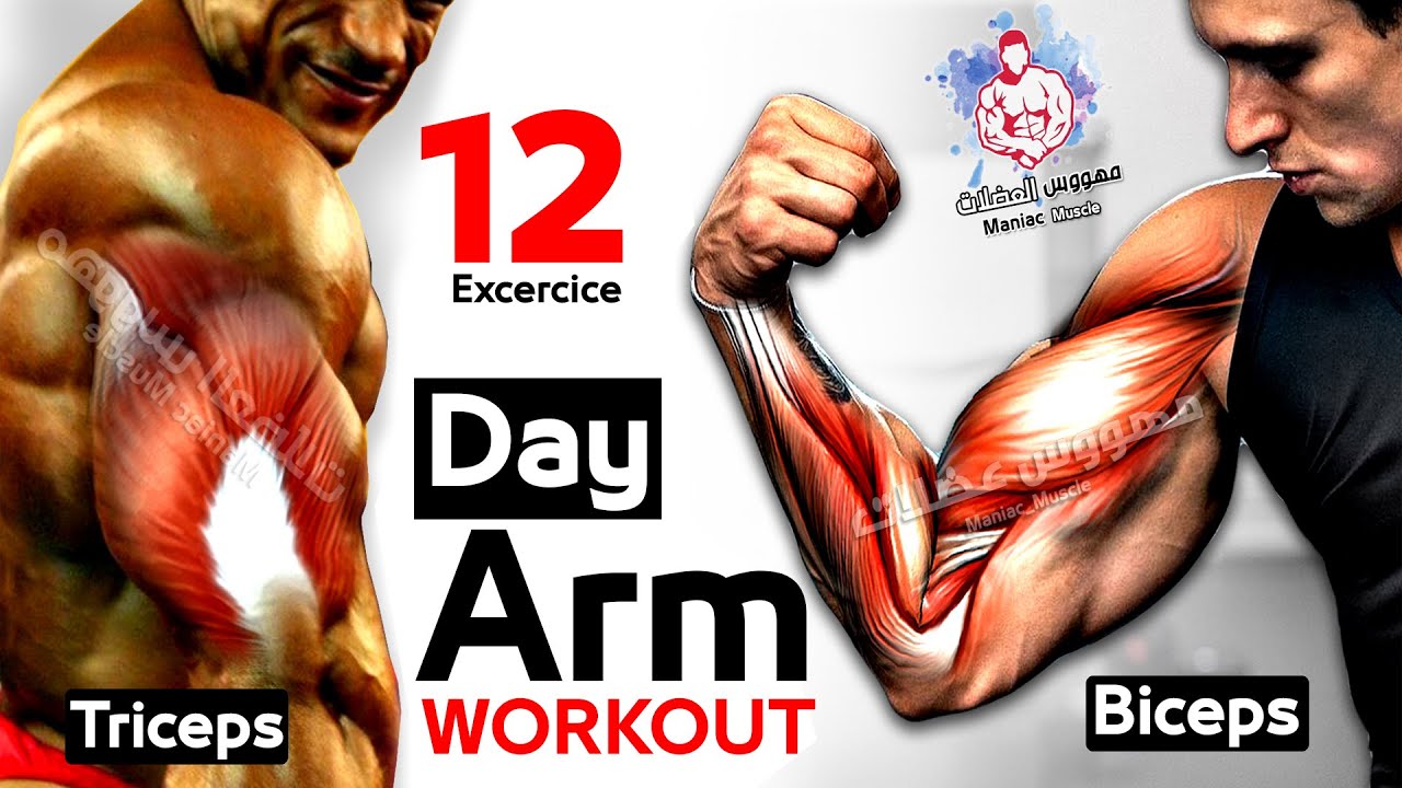 Как быстро накачать руки (бицепсы - трицепсы) смотреть онлайн