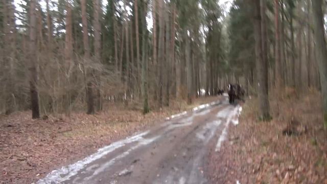 конная прогулка Hotel Gołębiewski Mikołajki Отель -Голембевски смотреть онлайн