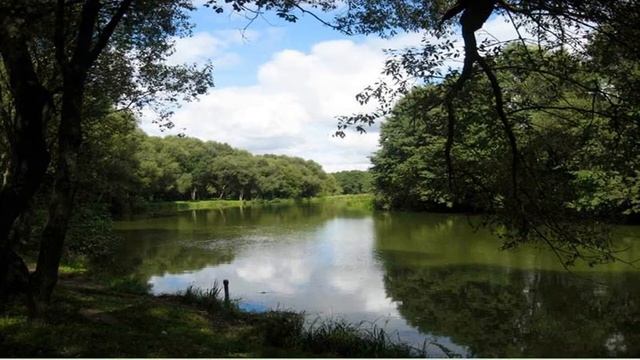 Тэма 8. Алесь Карлюкевіч. «Вавёрка піша сачыненне» смотреть онлайн