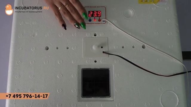 Обзор инкубатора Идеальная Наседка