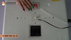 Обзор инкубатора Идеальная Наседка