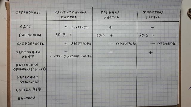 ЕГЭ/ОГЭ биология Особенности строения клеток разных царств смотреть онлайн