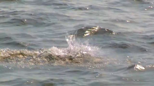 МЭВИС 1, День ВМФ России, Кронштадтский залив 31 07 10 1080 смотреть онлайн
