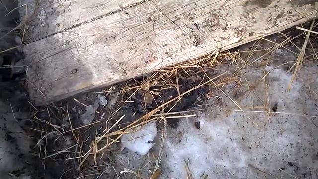 Копия видео "самсунг а5-100 смотреть онлайн