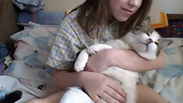 мой любимый котёнок Барсик******** смотреть онлайн