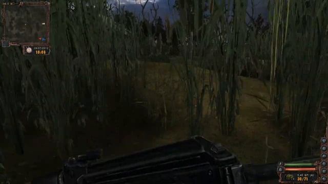 Stalker Lost Alpha.Болота.Дом Болотного Доктора и странный сон. смотреть онлайн