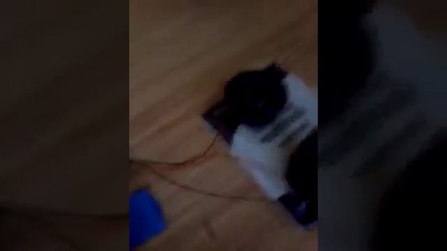 Как сделать громкую колонку в домашних условиях? смотреть онлайн