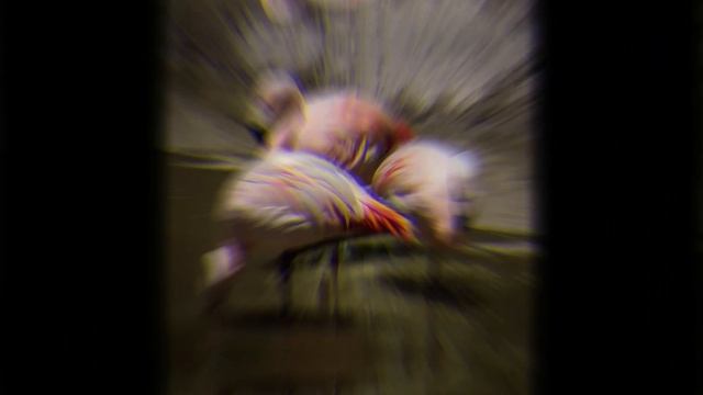 ТОП-10 ИНТЕРЕСНЫХ ФАКТОВ О ФЛАМИНГО. смотреть онлайн