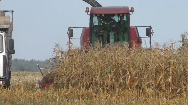 завершение сезона 2018 уборке кукурузы на силос смотреть онлайн