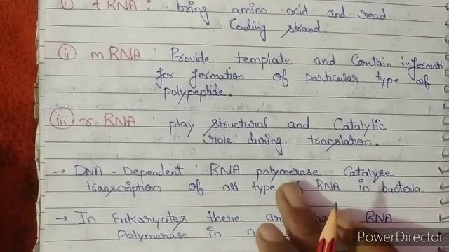 (2) molecular basis of inheritance chapter 6 revision translation replication transcription class 1 смотреть онлайн