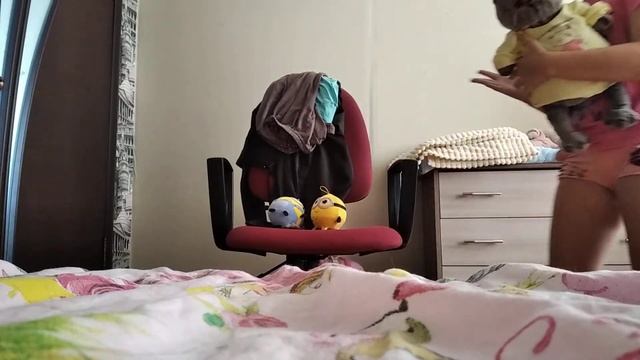 как я укладываю Басика и Ли ли на сон час смотреть онлайн