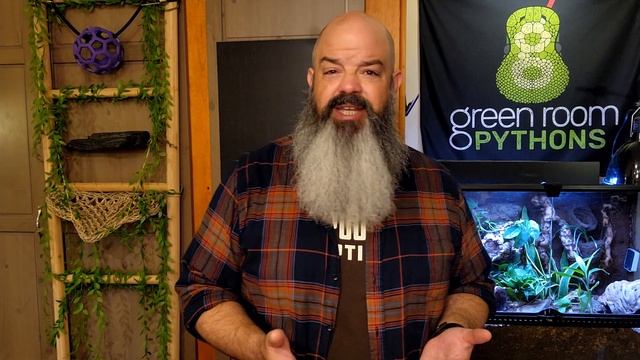 Snake Doesn't Eat Well? Here's ONE really good tip! смотреть онлайн