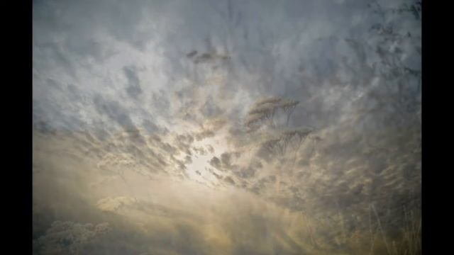 Sigma DC 17-70mm 2.8-4.5 Macro HSM Примеры фотографий смотреть онлайн