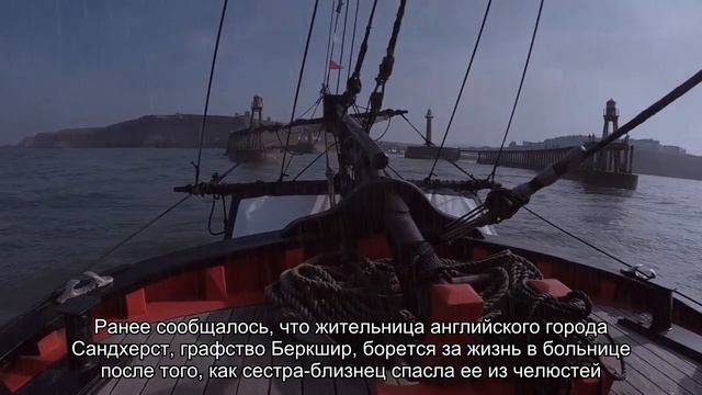 Крокодил напал на ребенка в отельной зоне популярного курорта смотреть онлайн