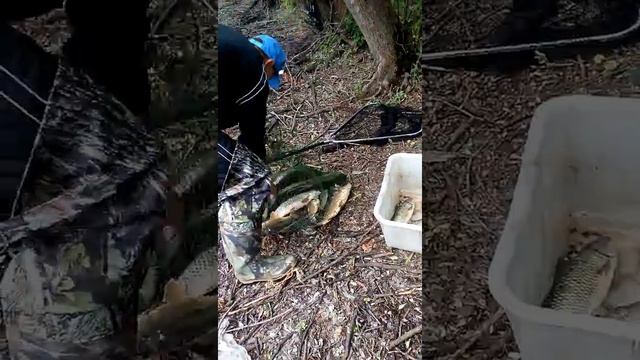 Рыбалка в Захарково, Курской обл, Конышевского р-на.. смотреть онлайн