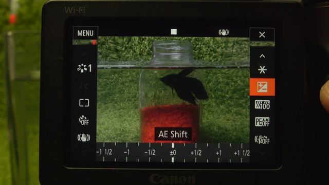 Canon XC10 hands-on review in 4K смотреть онлайн