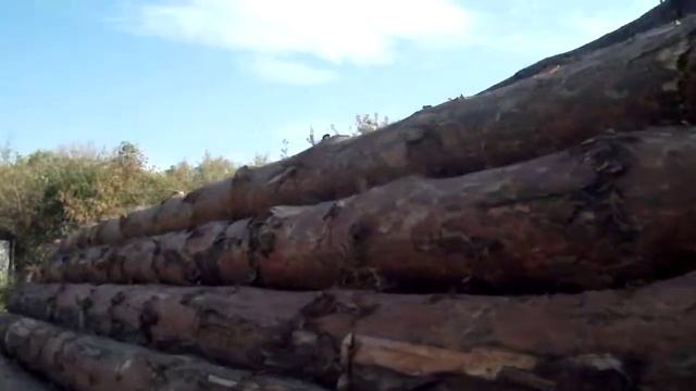 Обзор леса-кругляка 60 м3 для строительства дома смотреть онлайн