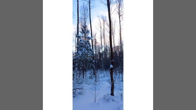 Зимняя сказка. смотреть онлайн