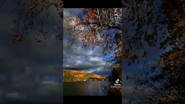 ах осень золотая ??? смотреть онлайн