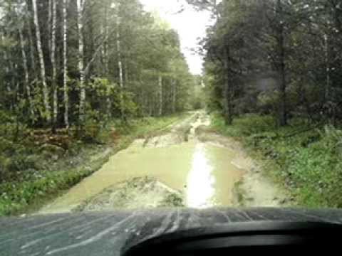 lesnaya doroga 1 смотреть онлайн