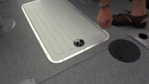 Starcraft Starfish 176