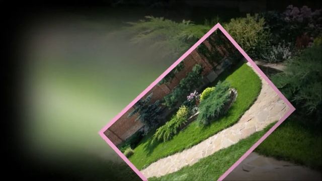 ЛАНДШАФТ. ХВОЙНЫЕ РАСТЕНИЯ. ч 3 смотреть онлайн