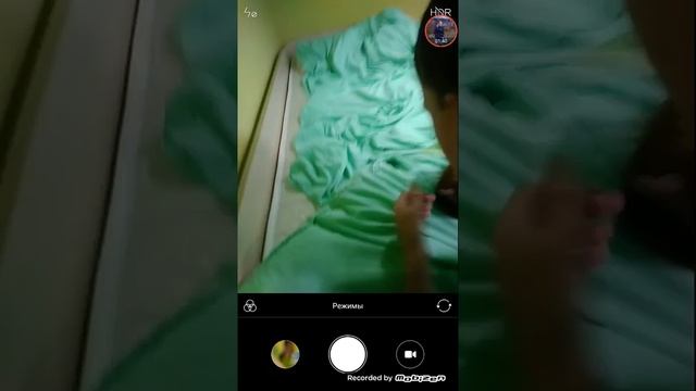 Как ухаживать за морскими свинками 2 смотреть онлайн