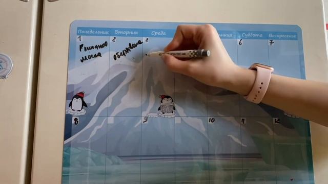 Новинка в Фикс прайс! Магнитный планер. Варианты заполнения смотреть онлайн