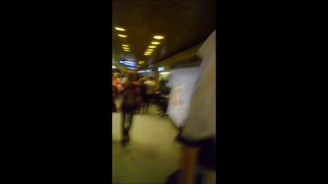 Фантазийный образ на Невских Берегах. смотреть онлайн