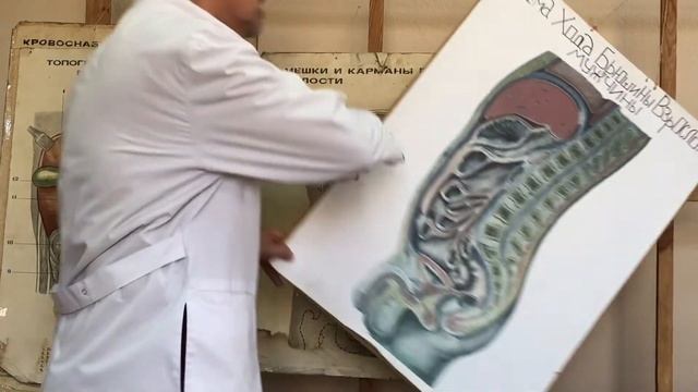 Брюшная полость смотреть онлайн