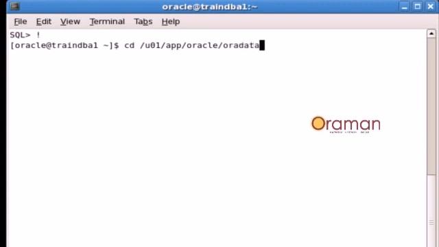 How to do RMAN Backup and Recovery смотреть онлайн